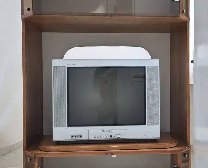 تلویزیون|تلویزیون و پروژکتور|زنجان, |دیوار