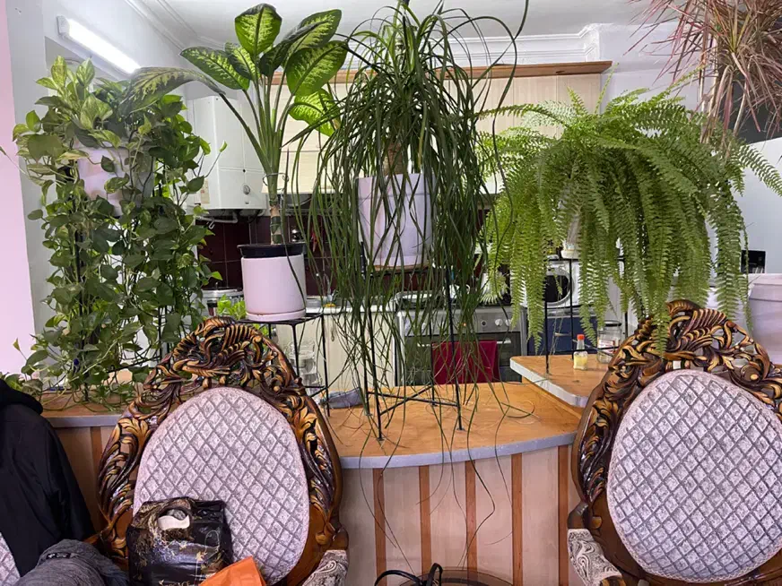 کابینت|مصالح و تجهیزات ساختمان|مشهد, شهید فرامرز عباسی|دیوار