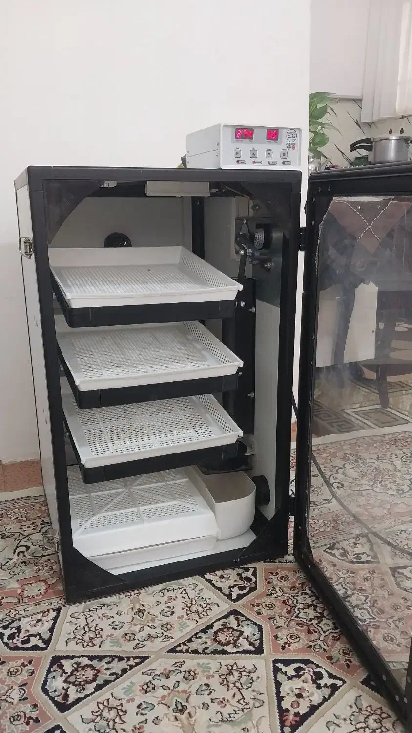 دستگاه جوجه کشی ۱۶۸تایی اسکندری|لوازم جانبی حیوانات|مشهد, امیریه|دیوار