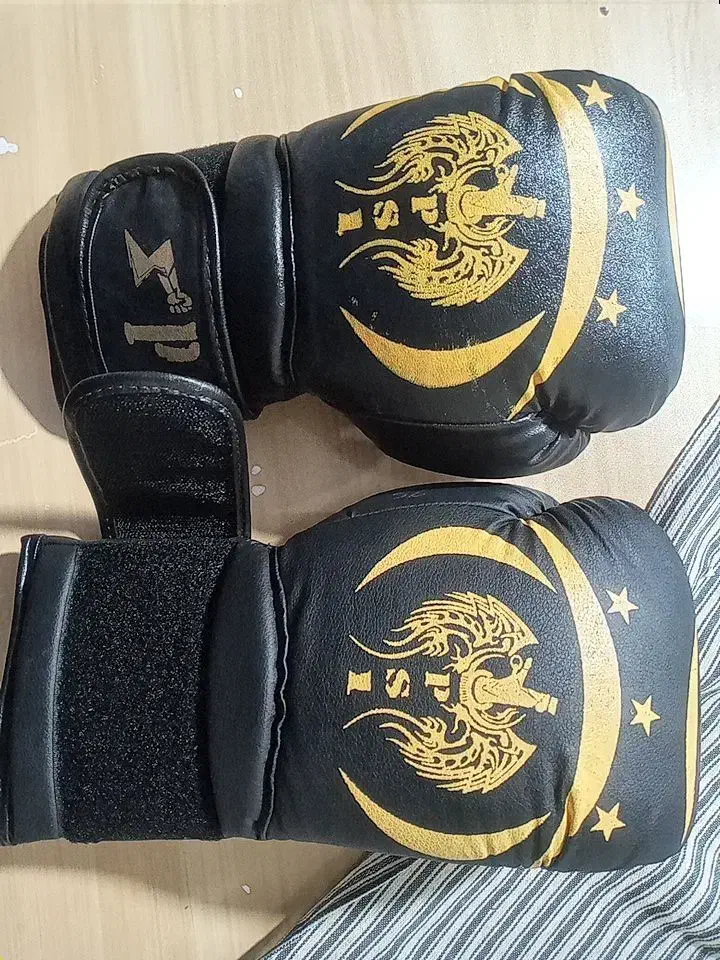 دستکش بکس|تجهیزات ورزشی|صدرا-فارس, فاز ۱|دیوار