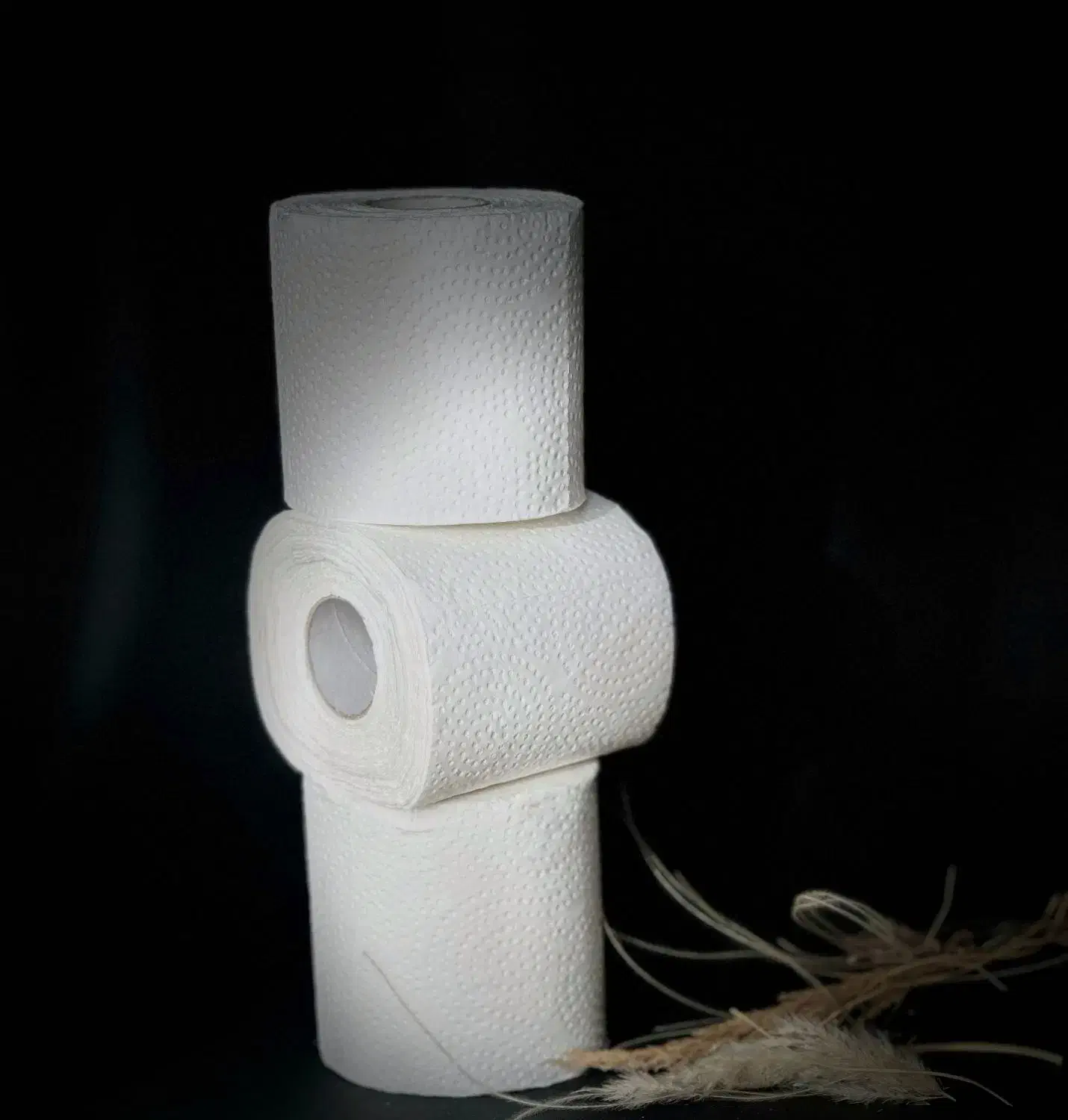 دستمال کاغذی|مواد شوینده و دستمال کاغذی|کرج, مصباح|دیوار