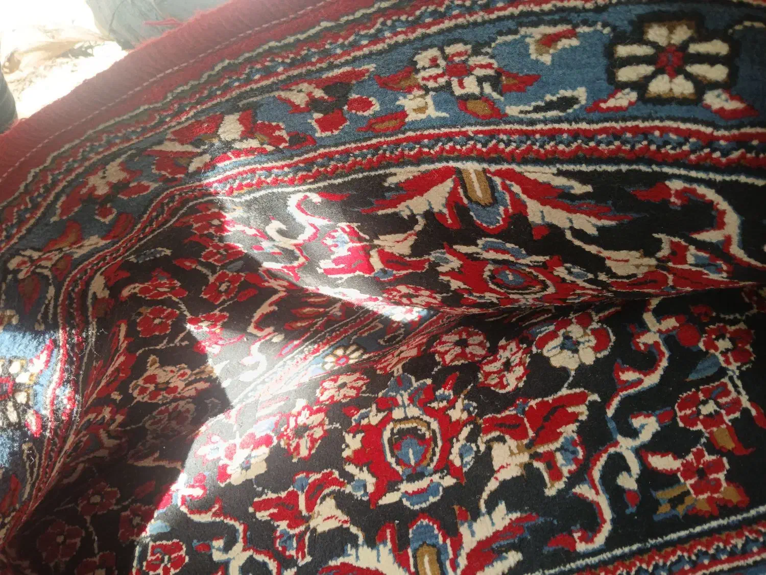 دو عدد فرش ۱۲ متری نو|فرش|تربت‌حیدریه, پایانه مسافربری تربت حیدریه|دیوار