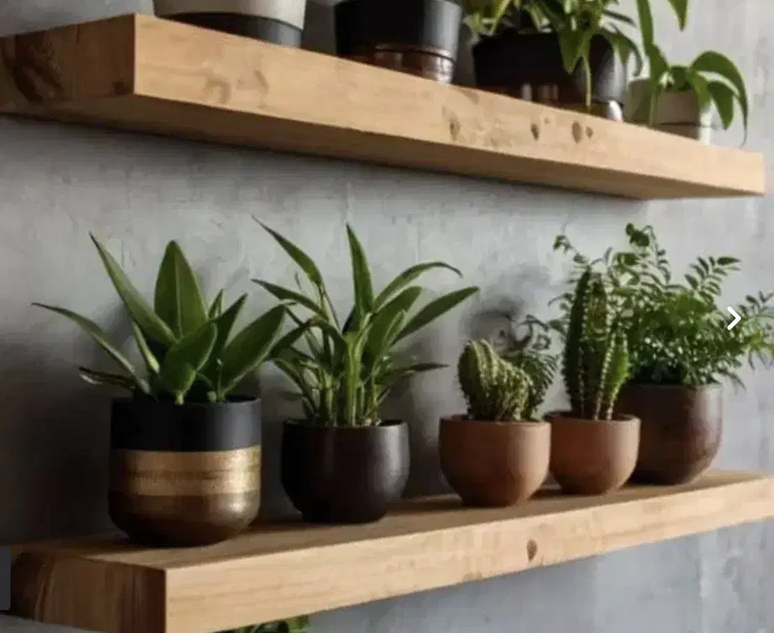 شلف چوبی دیواری|کتابخانه، شلف، قفسههای دیواری|تهران, سوهانک|دیوار