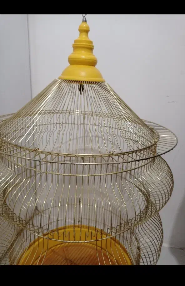 قفس پرنده|لوازم جانبی حیوانات|مشهد, نوید|دیوار