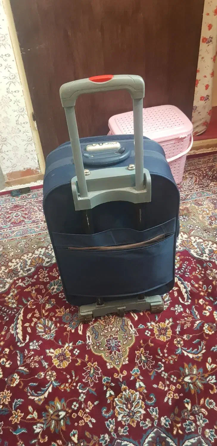 چمدان|کیف، کفش، کمربند|ملایر, |دیوار