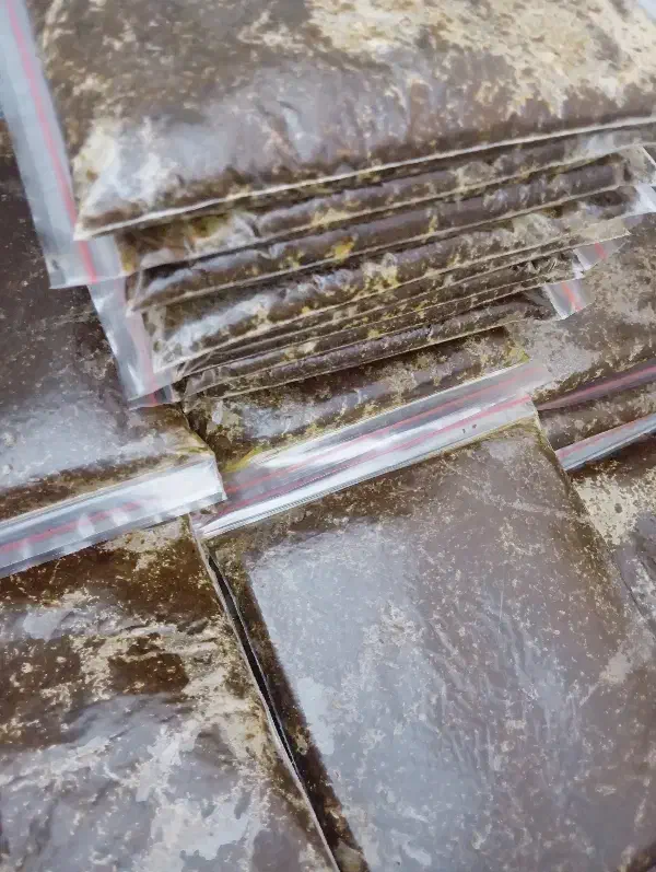 پخش عمده سبزی قورمه سرخ شده|خوردنی و آشامیدنی|کرج, آق تپه|دیوار