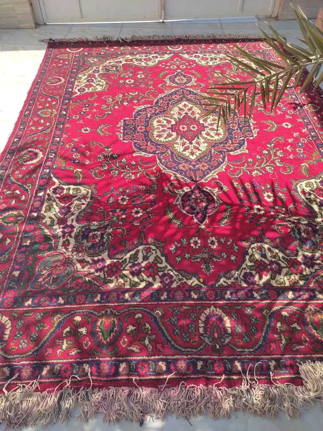 قالی  دس باف|فرش|باوی, |دیوار