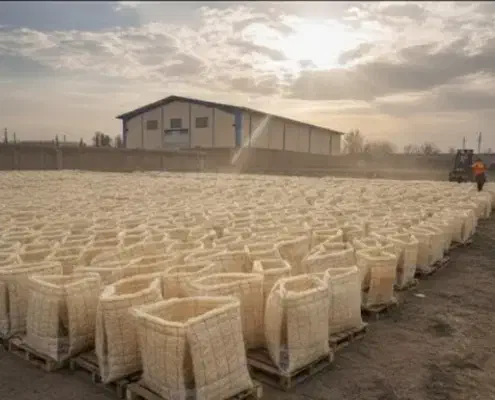 شرکت پوشال کولر پد سلولوزی حذف واسطه ها|مصالح و تجهیزات ساختمان|اصفهان, چرخاب|دیوار