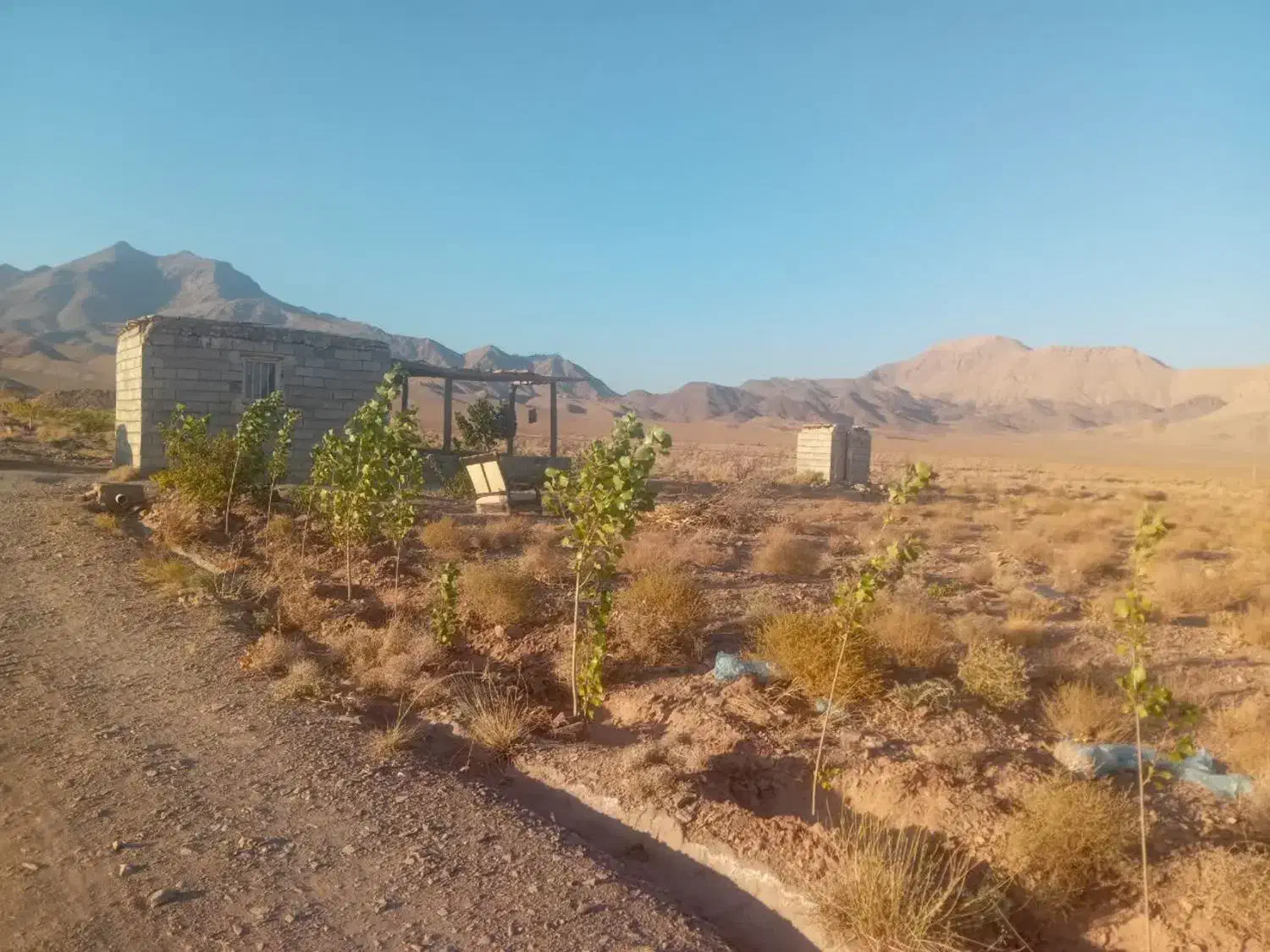 زمین فروشی|فروش زمین و ملک کلنگی|برزک, |دیوار