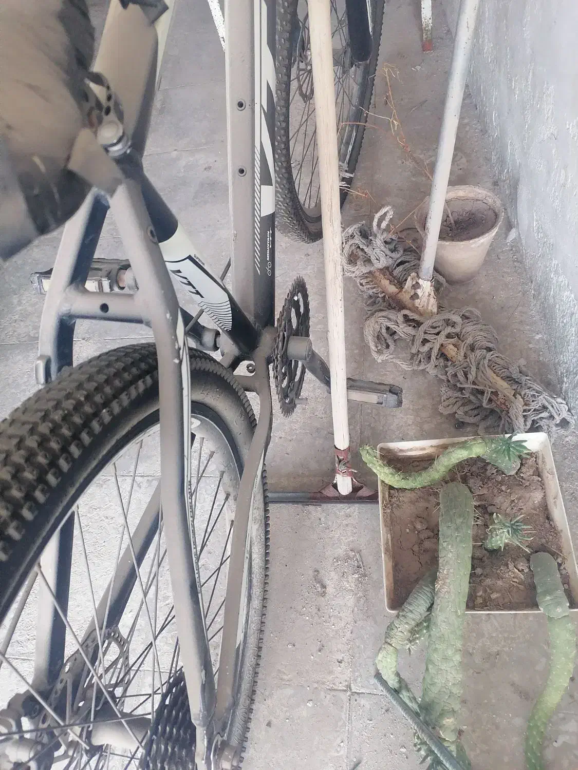 دوچرخه 26|دوچرخه، اسکیت، اسکوتر|لامرد, |دیوار