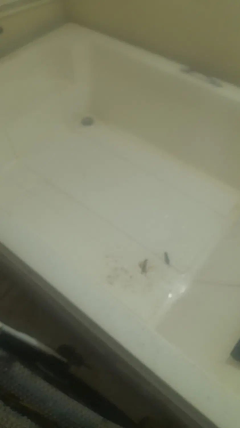 وان حمام|لوازم حمام|بجنورد, |دیوار