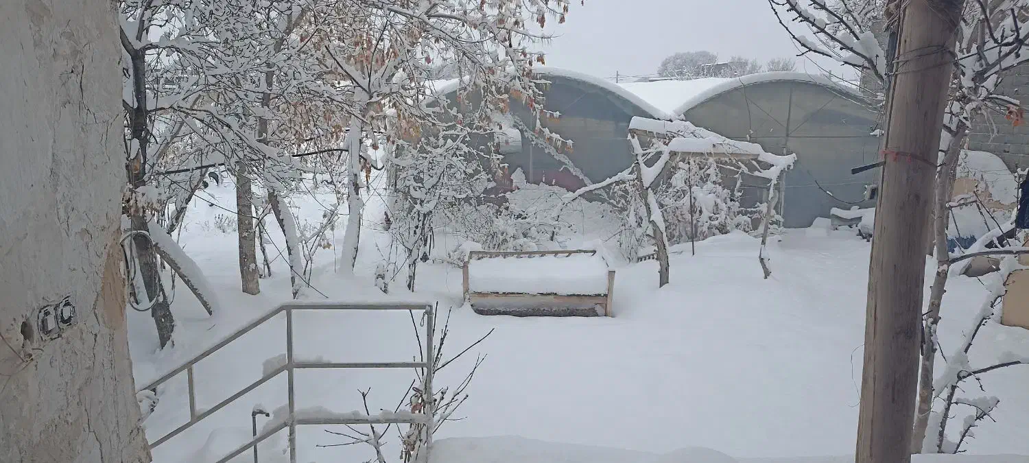 گلخانه|مصالح و تجهیزات ساختمان|معصومیه, |دیوار