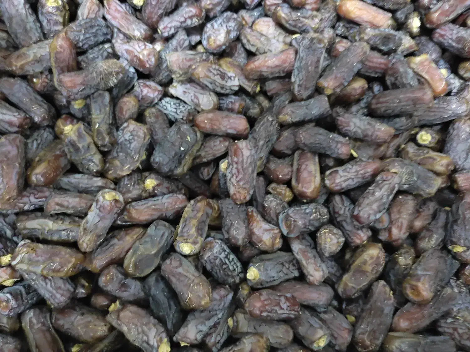 پیارم|حراج|جم, |دیوار