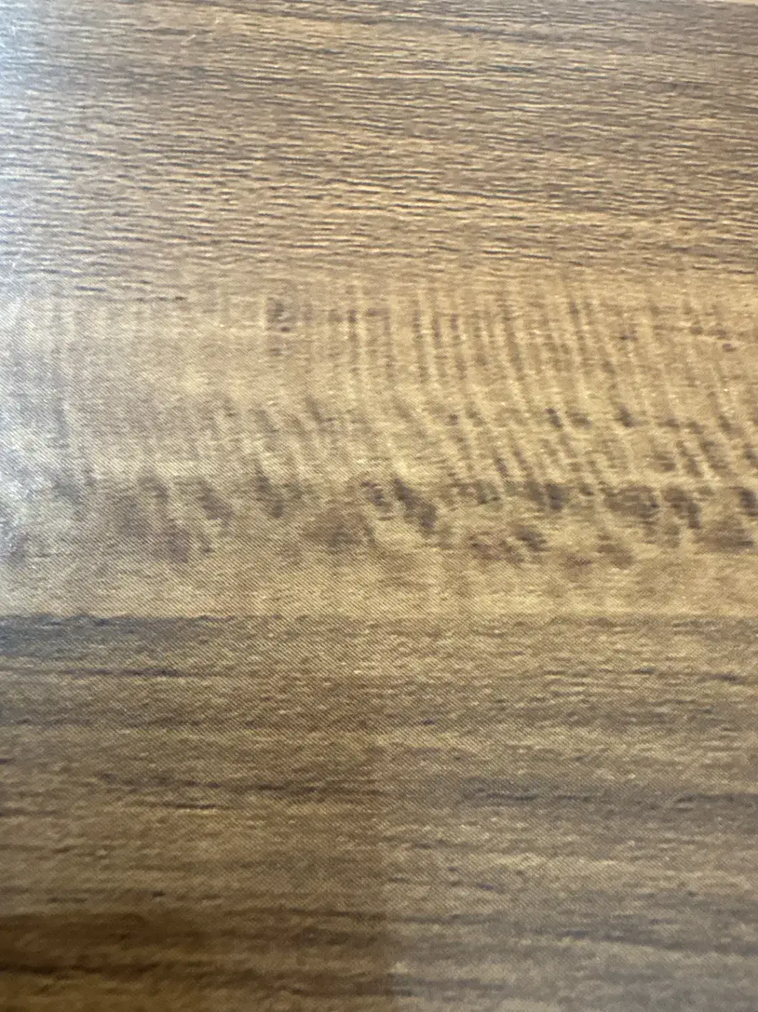 لباس بچه|کفش و لباس بچه|اردبیل, |دیوار