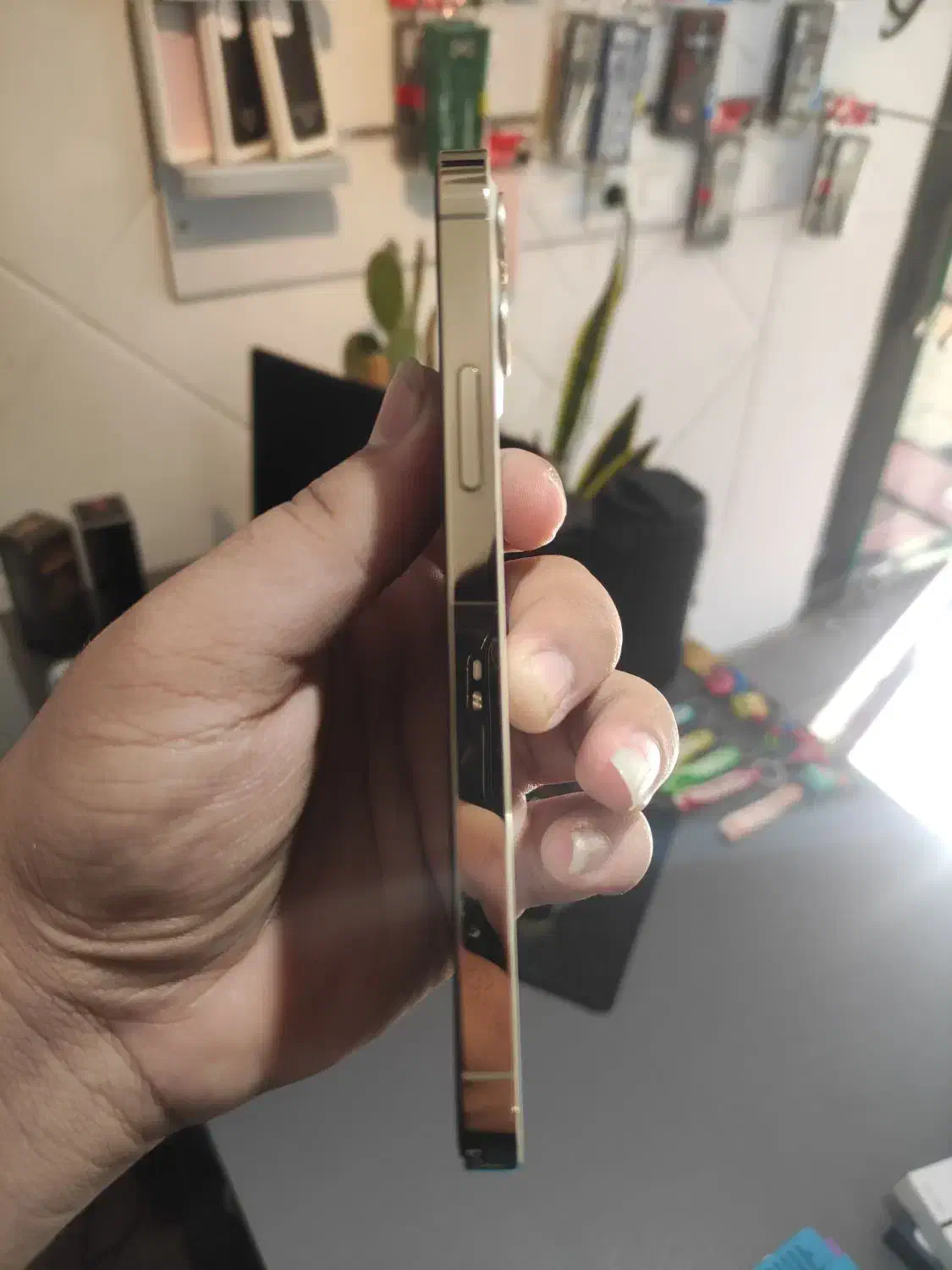 ایفون12پروگلد 256|موبایل|اصفهان, شاهزید|دیوار