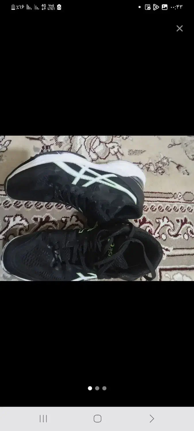 کفش والیبال|ورزش‌های توپی|تربت جام, شهید غلام زاده|دیوار