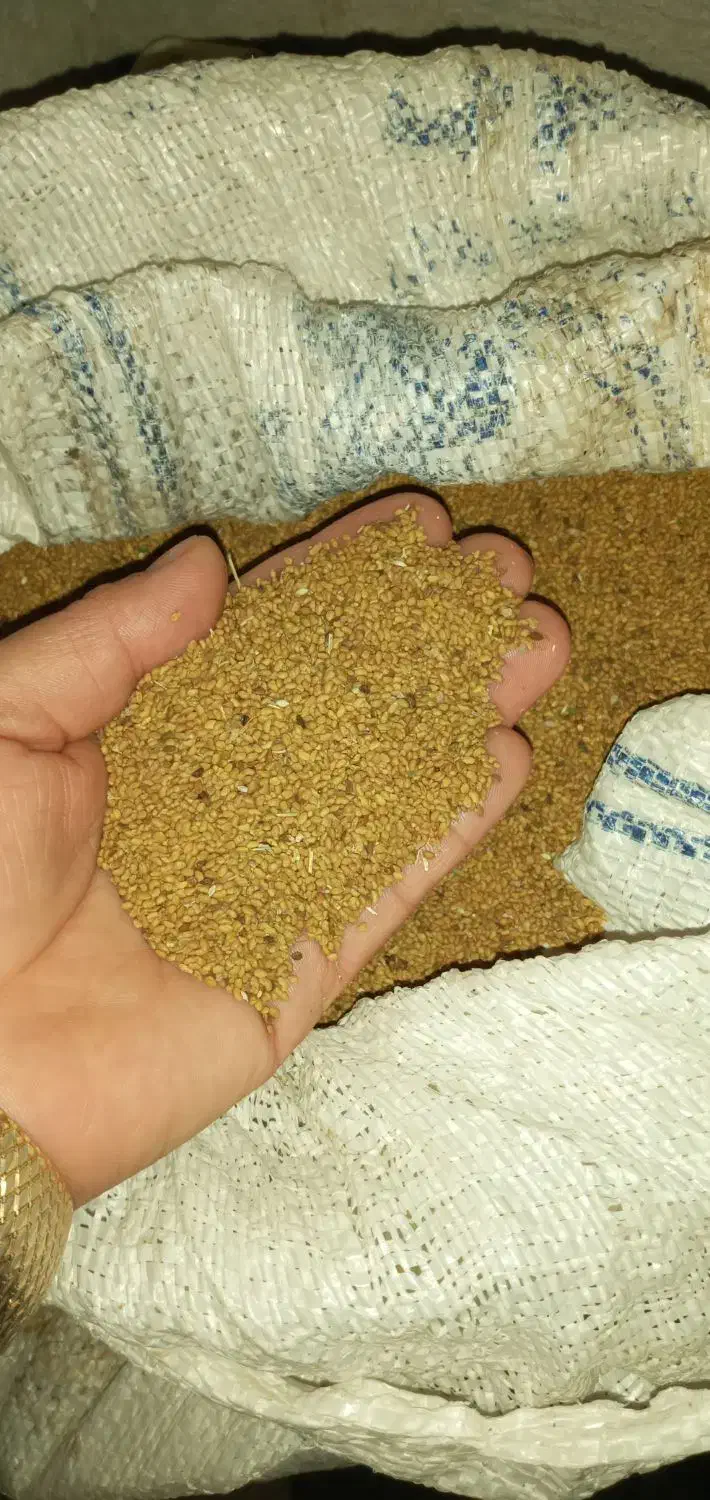 بزر یونجه|گل و گیاه طبیعی|خوی, |دیوار