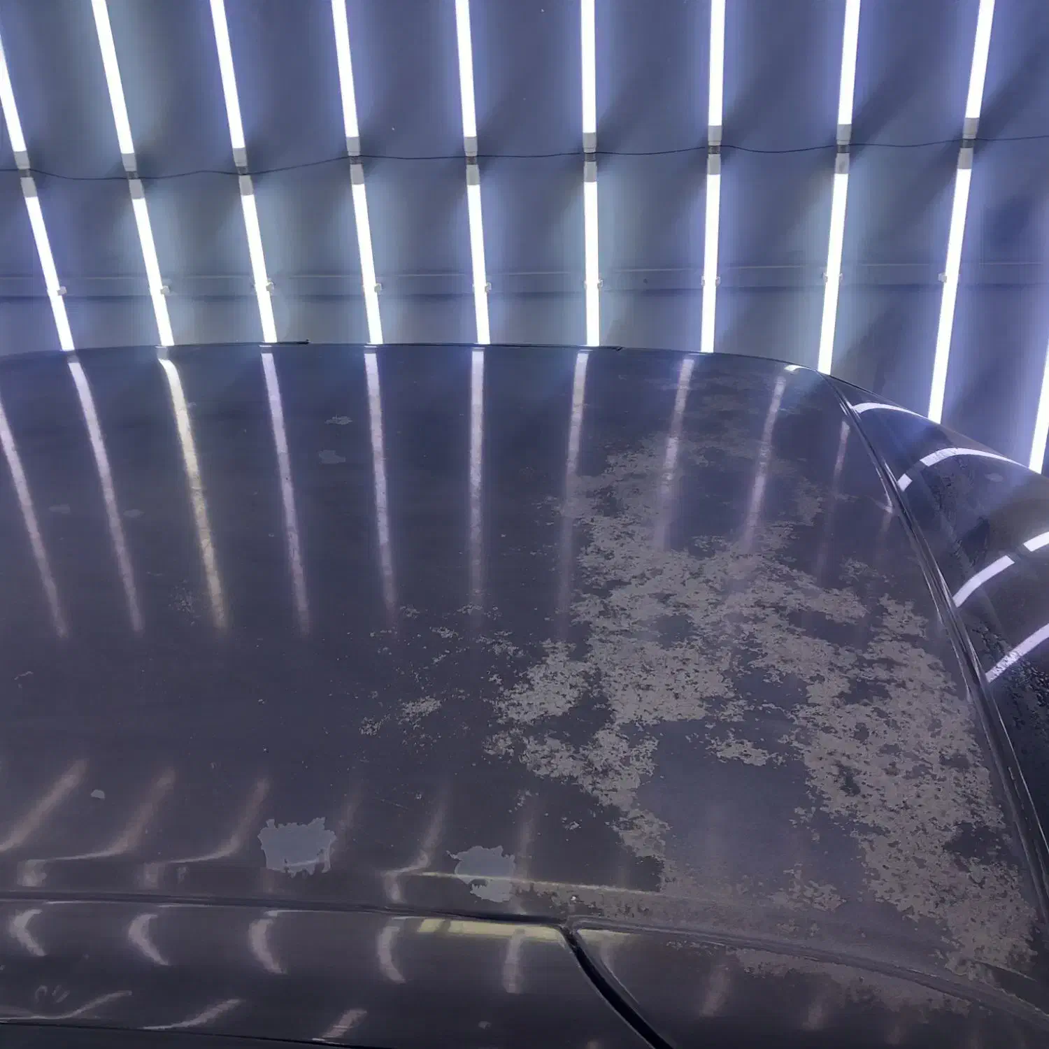 پژو ۴۰۵ مدل ۹۱|خودرو سواری و وانت|تهران, امام زاده عبدالله|دیوار