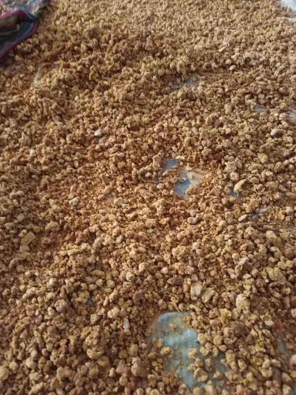 بهترین آچار دیگی تازه|خوردنی و آشامیدنی|خاش, |دیوار