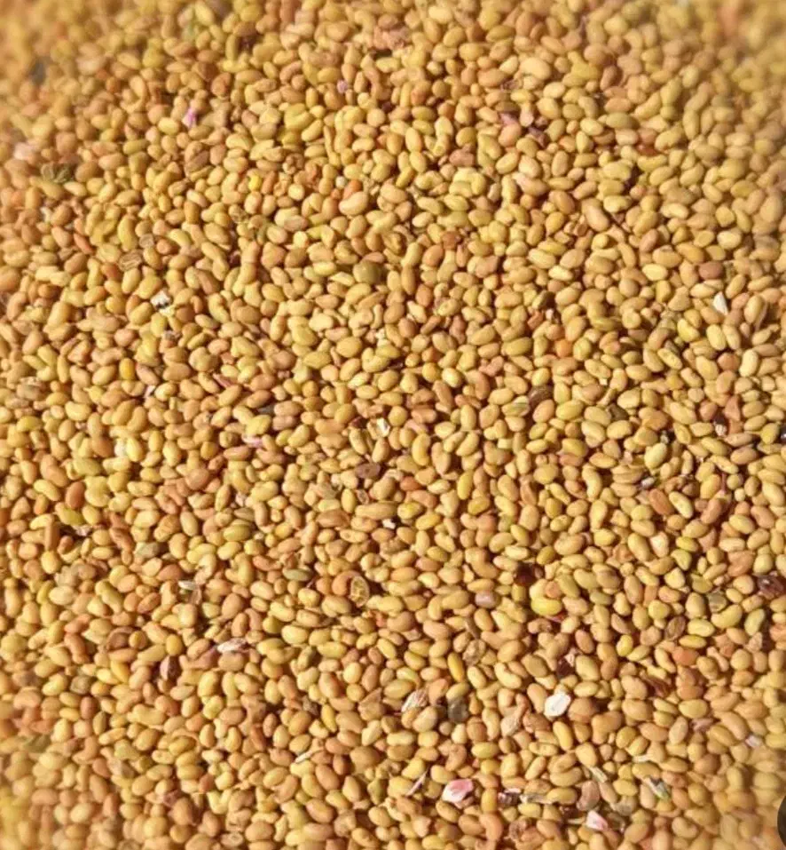 برسین و رنجر انواع بذر قره یونجه و شبدر|گل و گیاه طبیعی|اصفهان, نقش جهان|دیوار