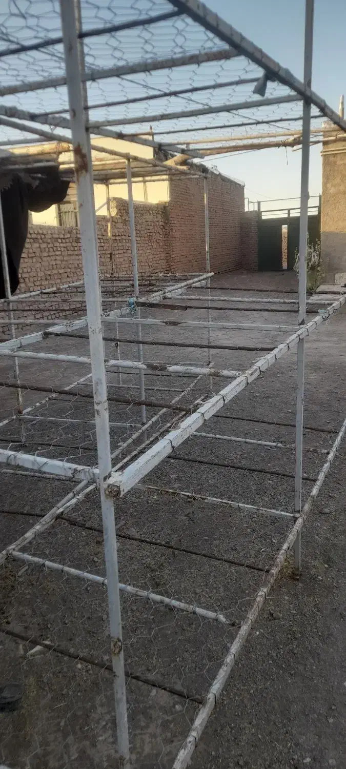 دستگاه پرورش قارچ و قفسه|فروشگاه و مغازه|عطاملک, |دیوار