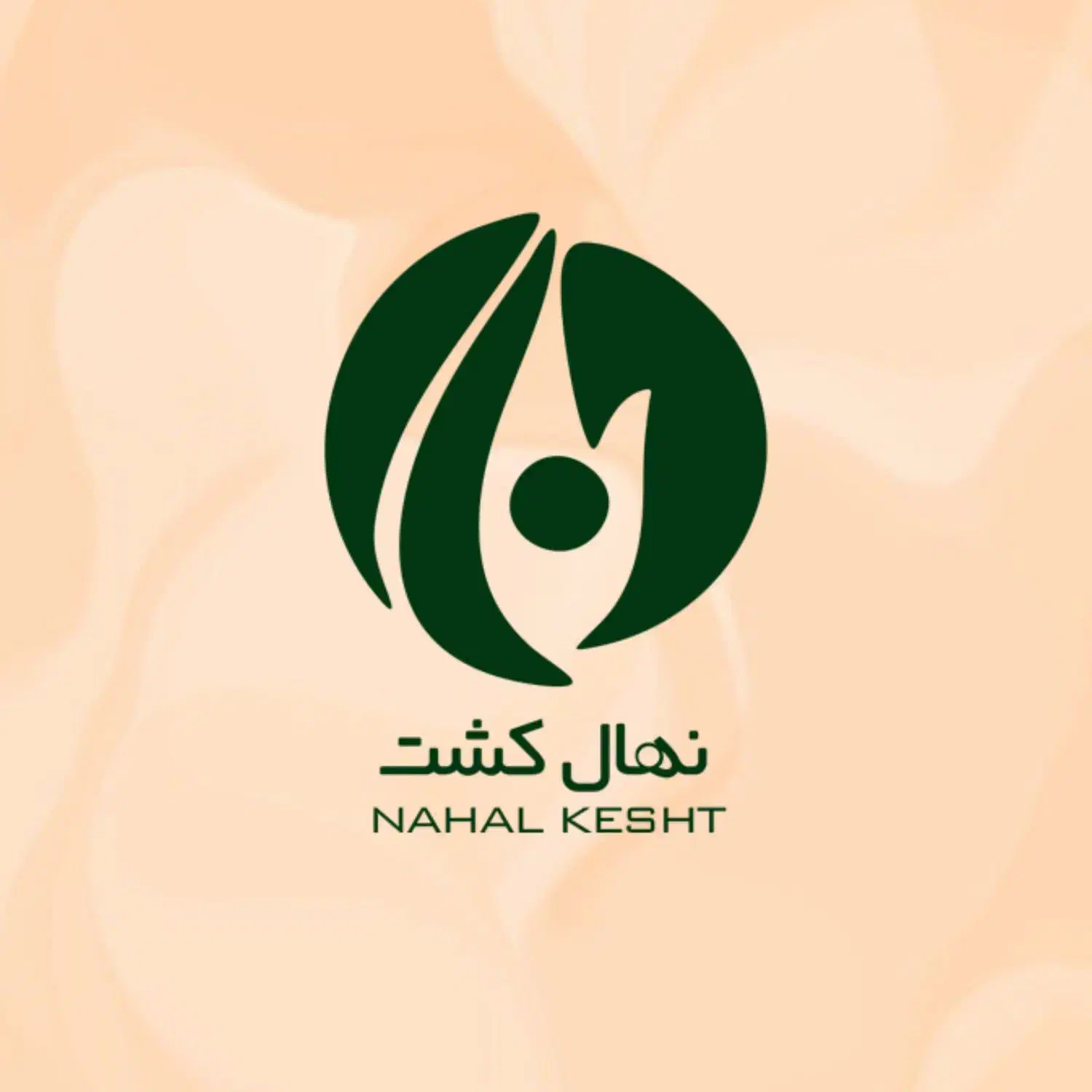 نیروی کارپرداز آقا|استخدام اداری و مدیریت|میبد, |دیوار