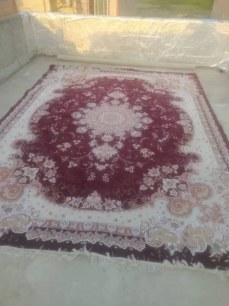 فرش۱۲متری|فرش|گرگان, |دیوار