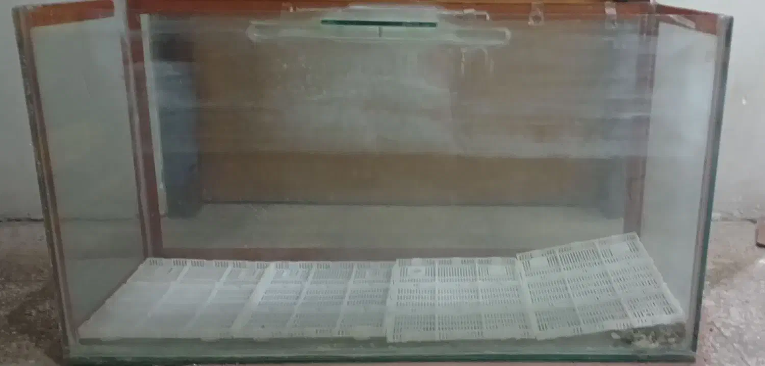 آکواریوم|ماهی|شیراز, شهرک بهار|دیوار