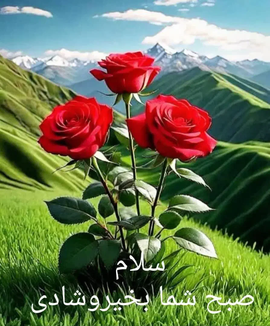 فروش فیش حج تمتع 1404|تور و چارتر|شوشتر, |دیوار