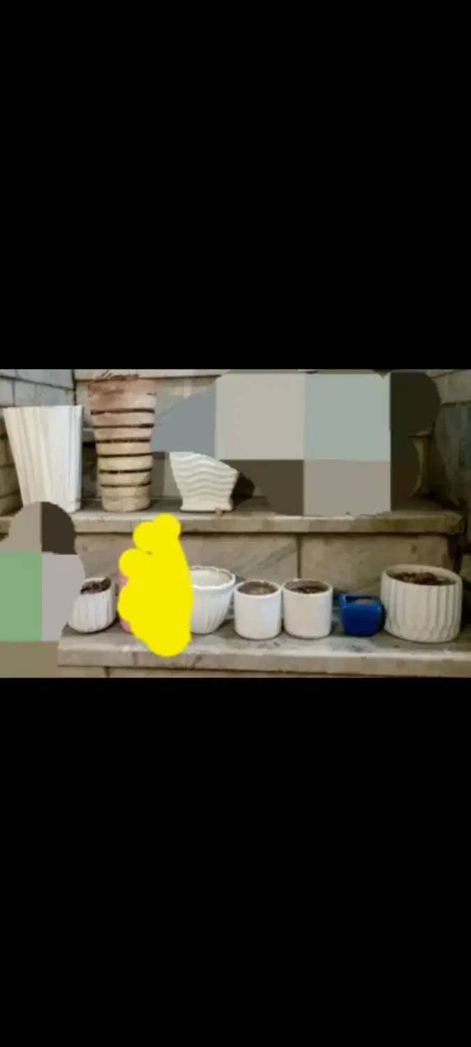 گلدان اقتصادی وارزان|گل و گیاه طبیعی|شاهینشهر, عطار|دیوار