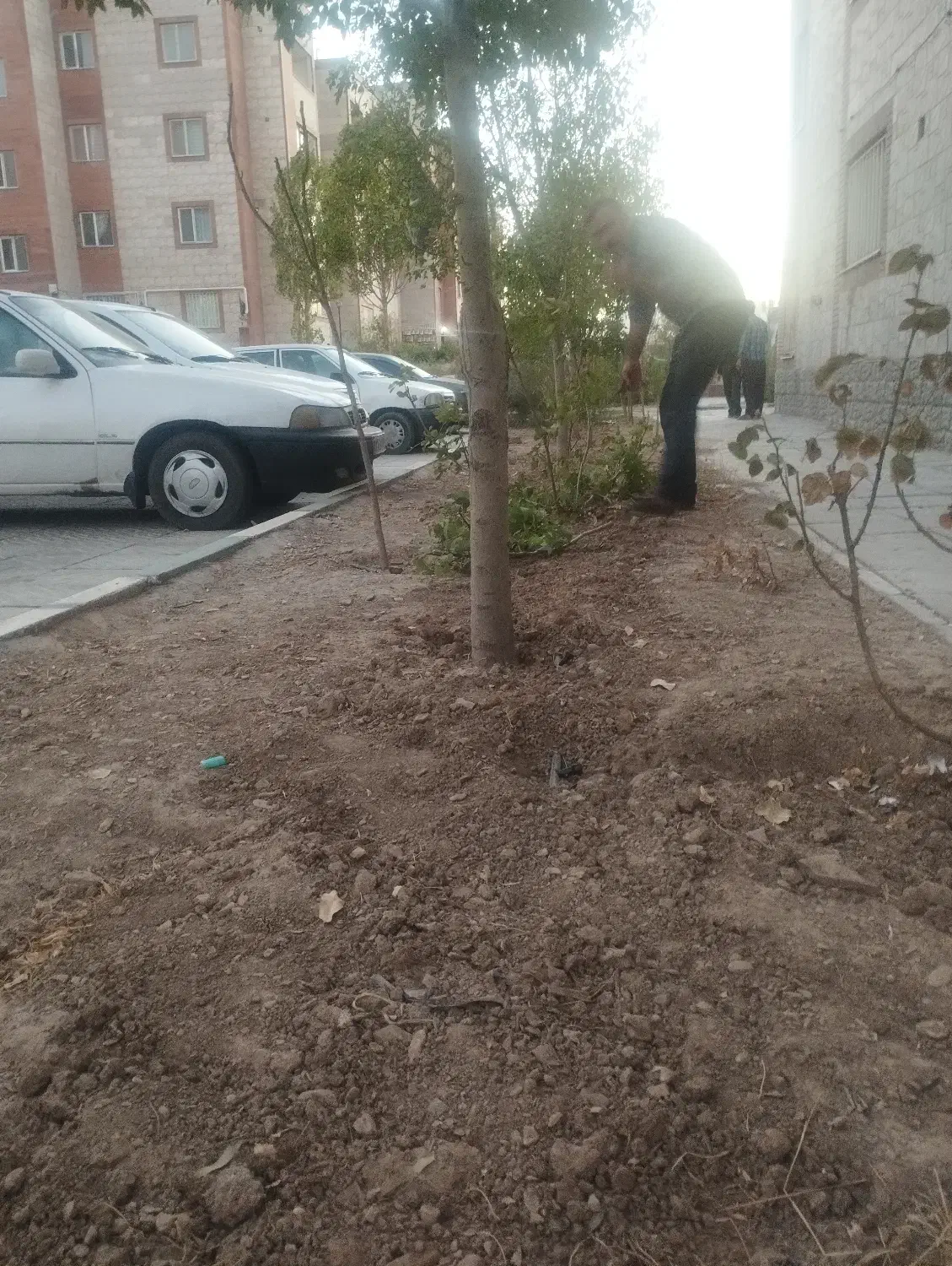 استخدام نگهبان، نظافتچی و باغبان|استخدام سرایداری و نظافت|گلبهار, شهر جدید گلبهار|دیوار