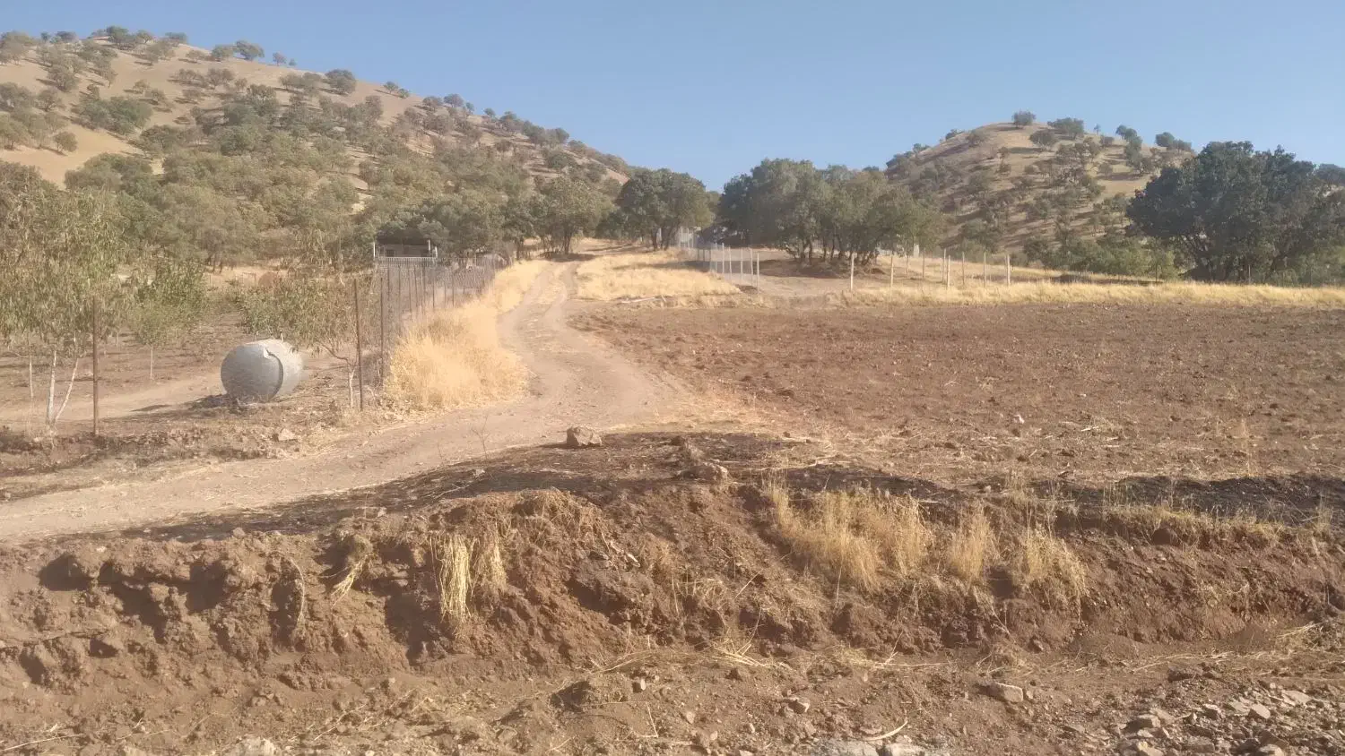 زمین|فروش زمین و ملک کلنگی|جوانرود, |دیوار