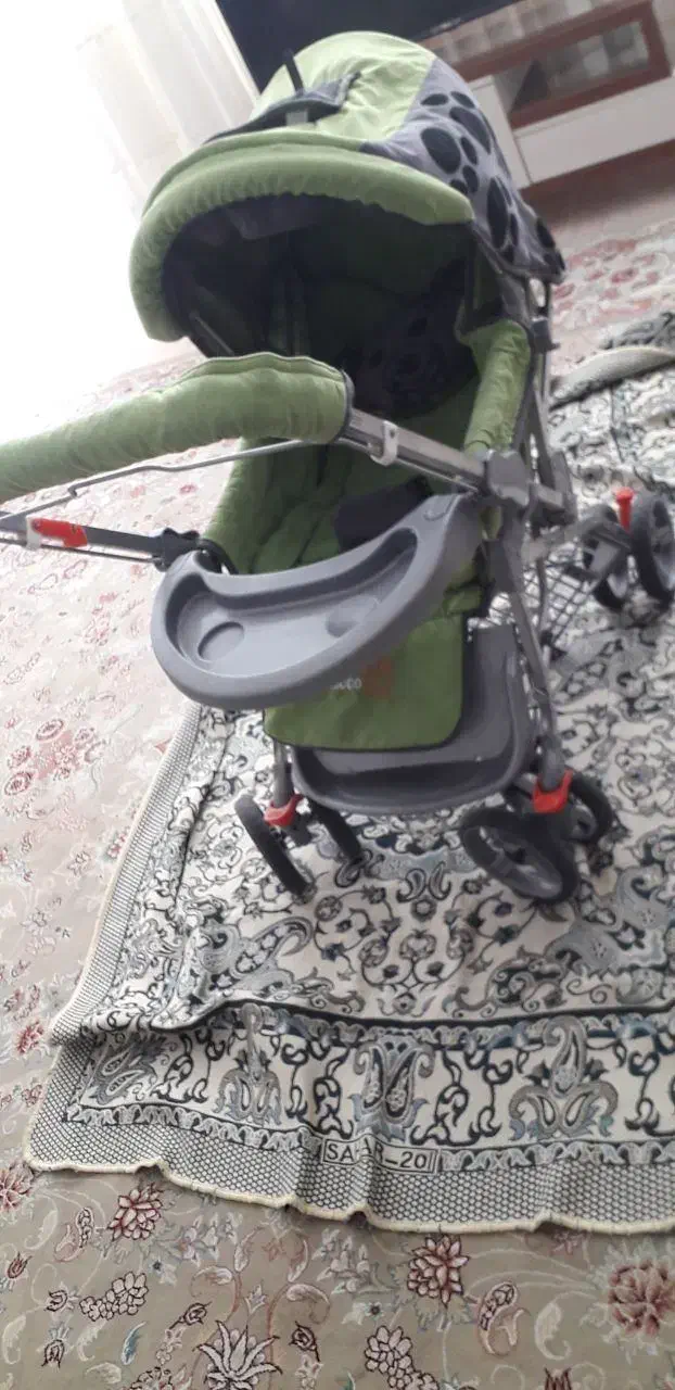 کالسکه|کالسکه و لوازم جانبی|کاشمر, |دیوار