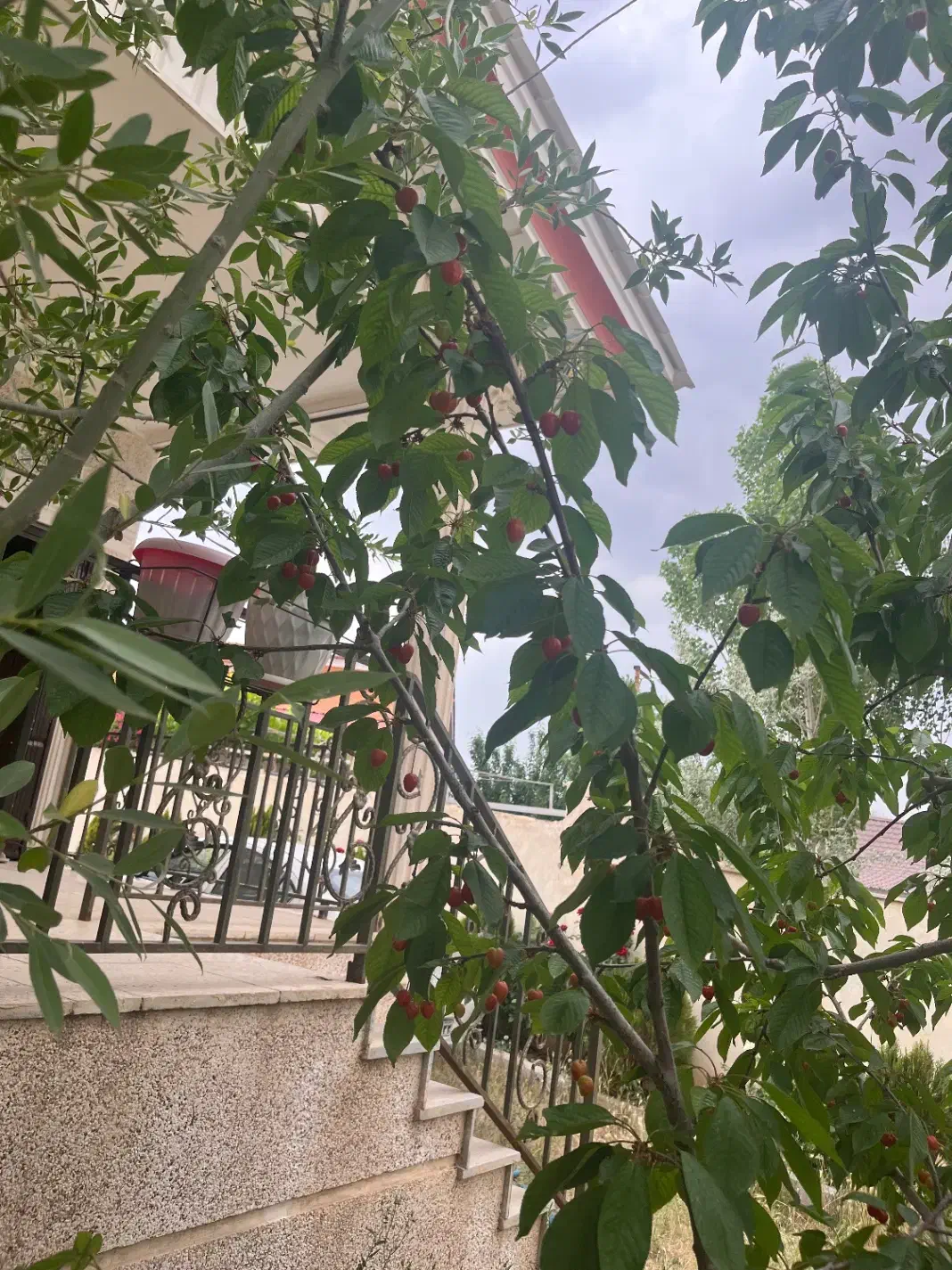 فروش یا معاوضه با آپارتمان محدوده شرق و شمال شرق|فروش آپارتمان|تهران, بوستان شیان|دیوار