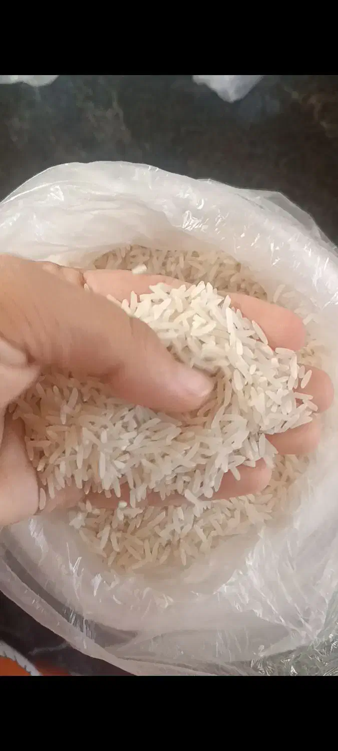 برنج‌فجرسوزنی|خوردنی و آشامیدنی|آق قلا, |دیوار