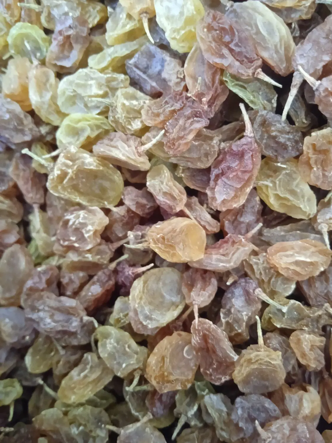 کشمش|خوردنی و آشامیدنی|پاتاوه, |دیوار