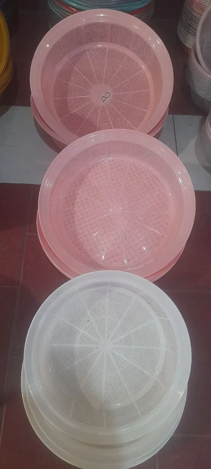 پلاسگو|ظروف نگهدارنده، پلاستیکی، یک‌بارمصرف|مرند, |دیوار