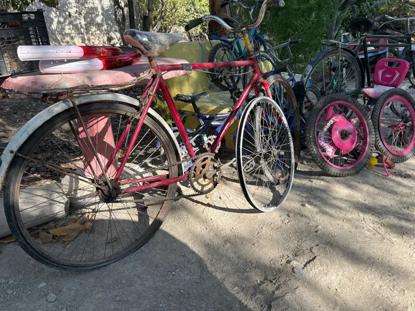 ۵۰ عدد دوچرخه دست دوم در حد سالم و نو|دوچرخه، اسکیت، اسکوتر|صفادشت, |دیوار