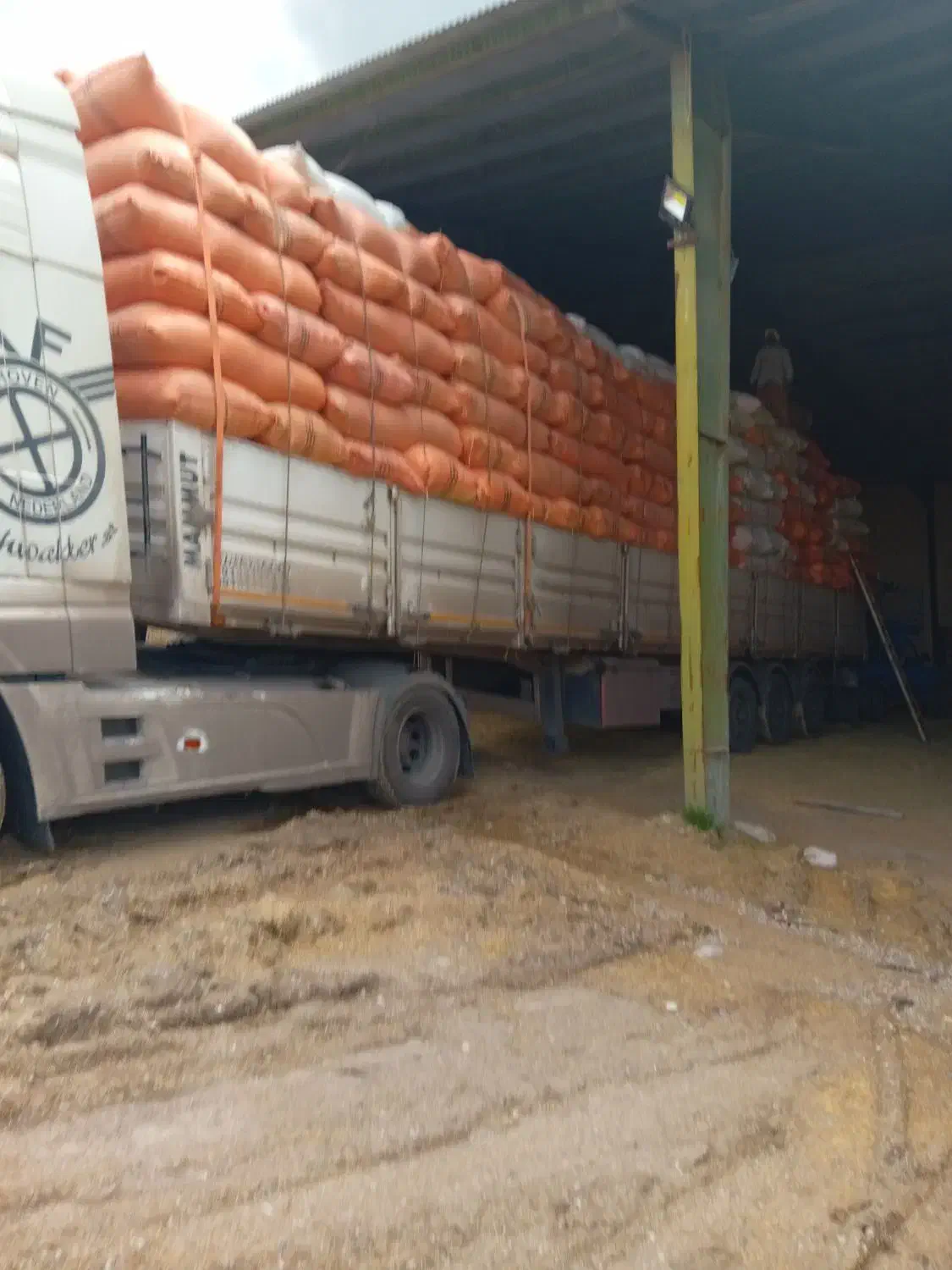 کاه دیم درجه یک کرمانشاه|عمده‌فروشی|گنبد کاووس, |دیوار