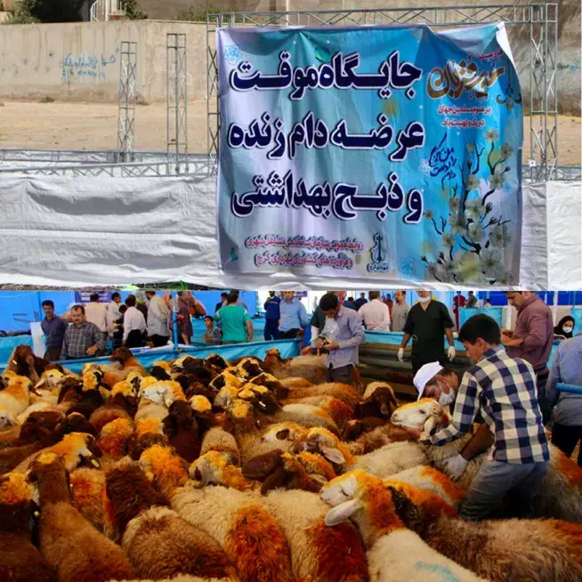 فروش بره نر درجه یک تقلی تمام مراسم|حیوانات مزرعه|تهران, میدان ولیعصر|دیوار