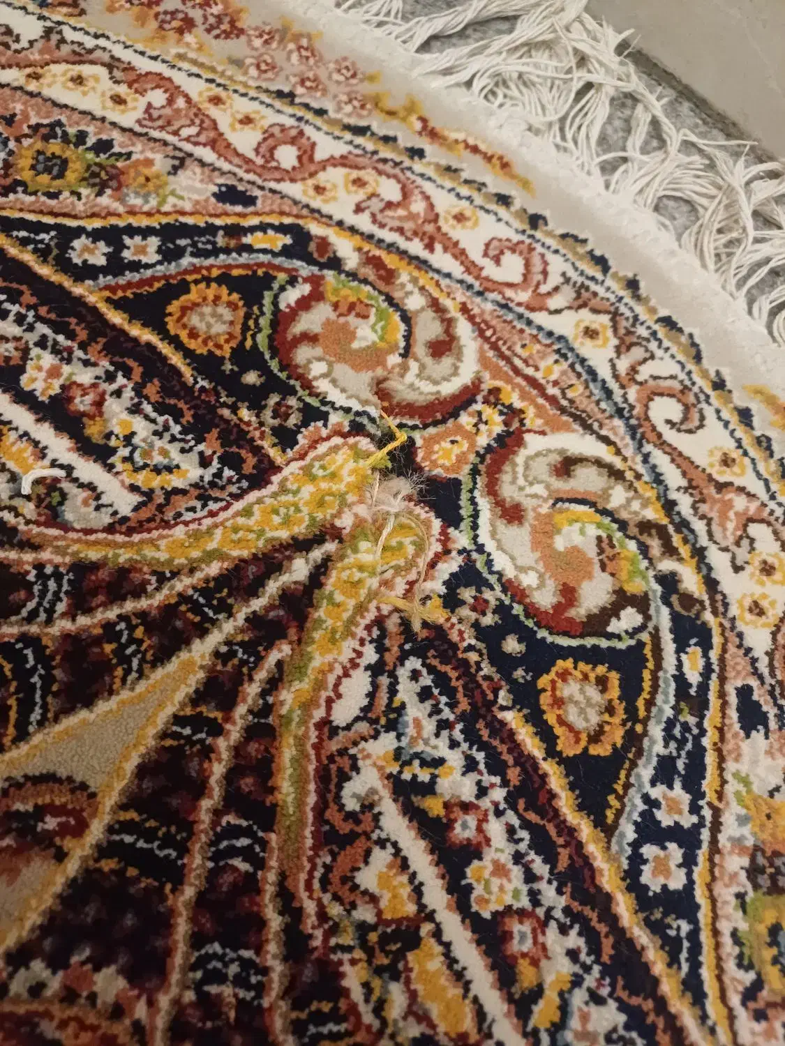 فرش گرد یک در یک دوتا|فرش|گرگان, |دیوار