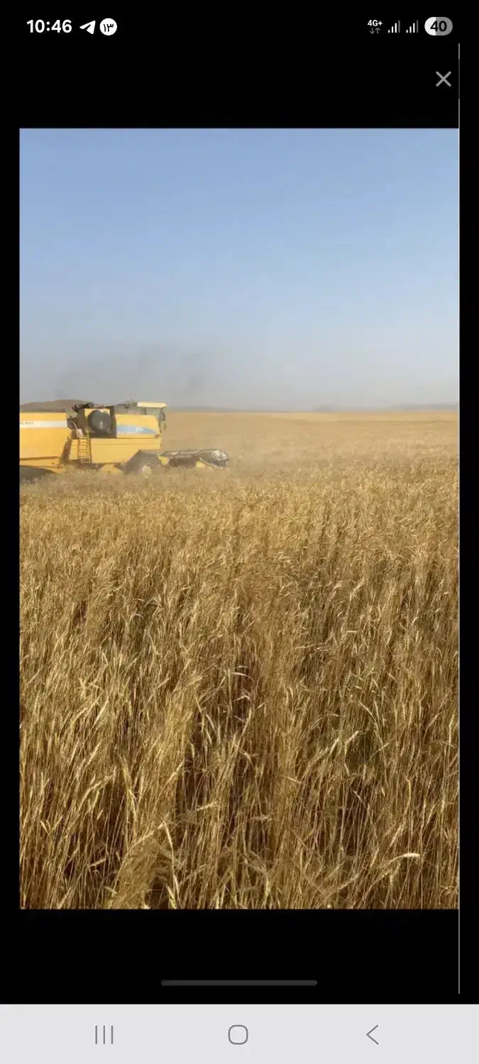 زمین کشاورزی با آب کافی|اجارهٔ دفتر صنعتی، کشاورزی، تجاری|خزل, |دیوار