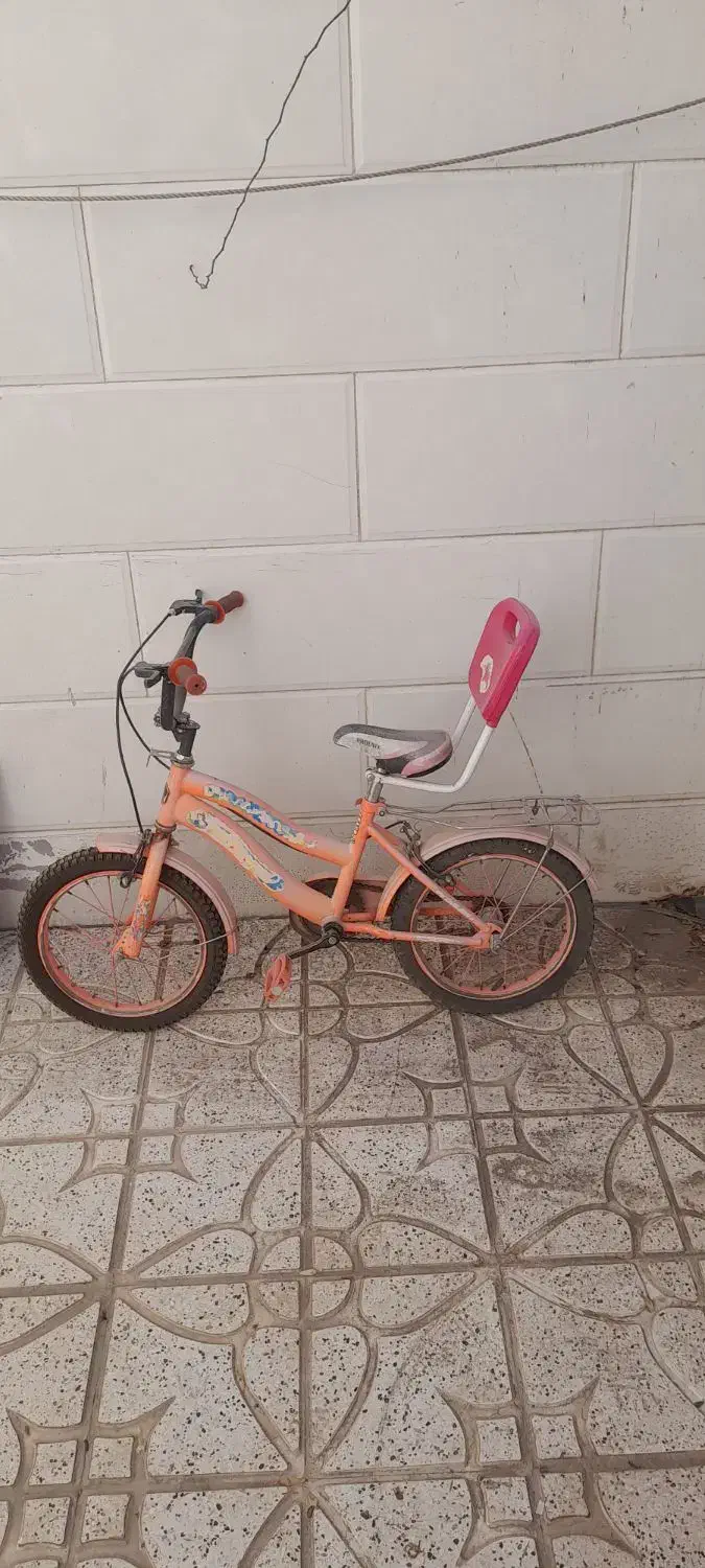 دوچرخه|دوچرخه، اسکیت، اسکوتر|نیشابور, گنبد سبز|دیوار