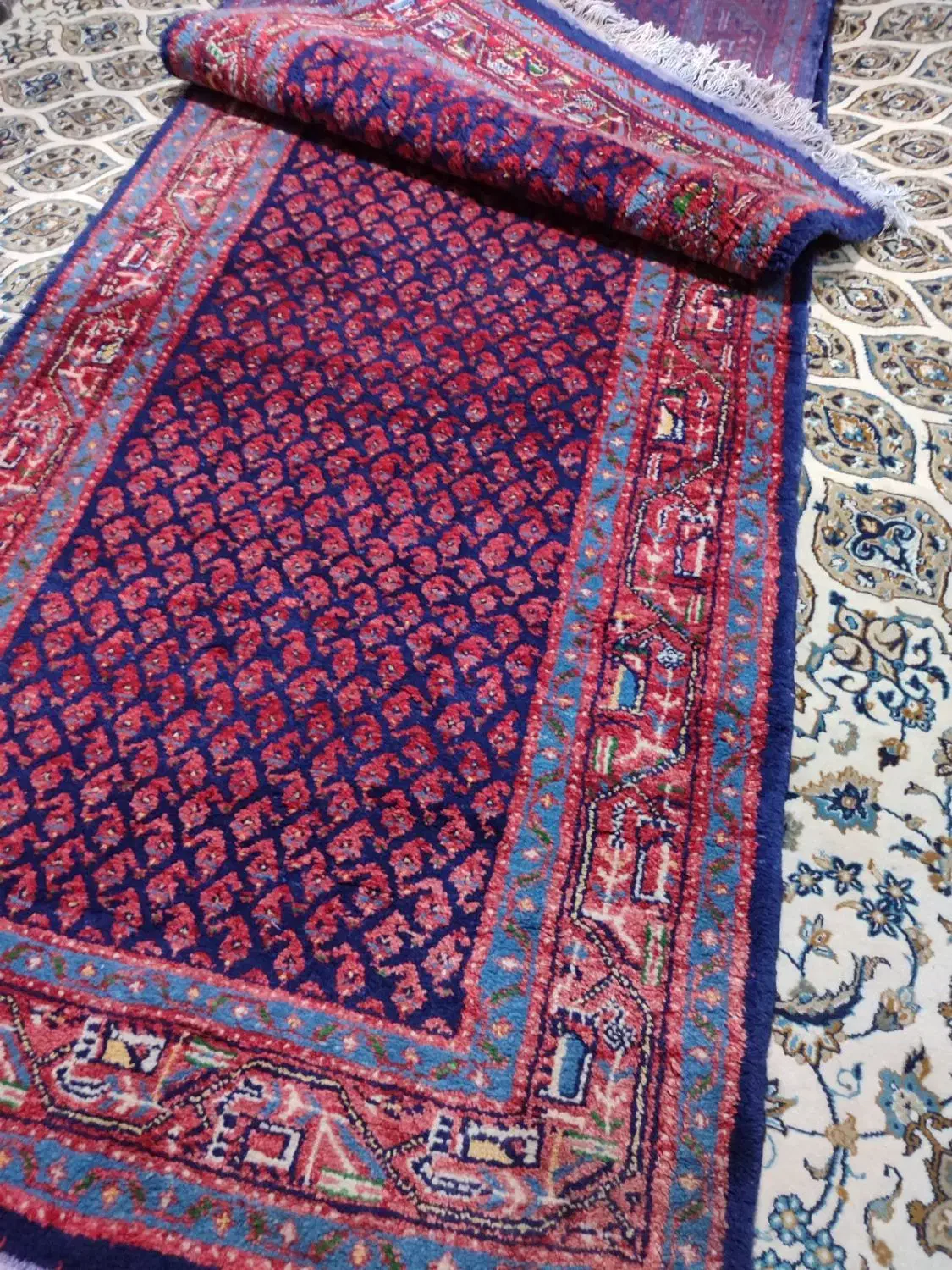 فرش دست باف|فرش|کنگاور, |دیوار