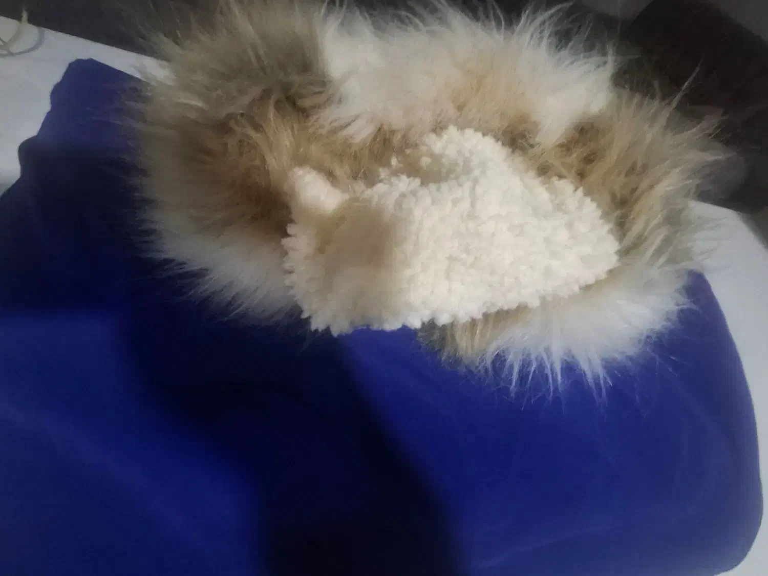 فروش تعدادی لباس نو.به علت جمع کردن .کیفهادرحدنو|لباس|گرمسار, |دیوار