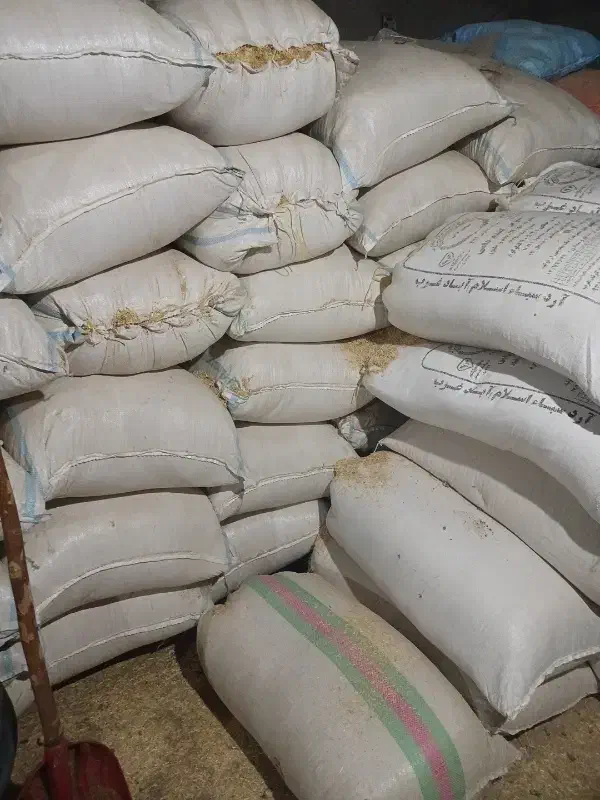 کاه گندم|حیوانات مزرعه|حمیل, |دیوار