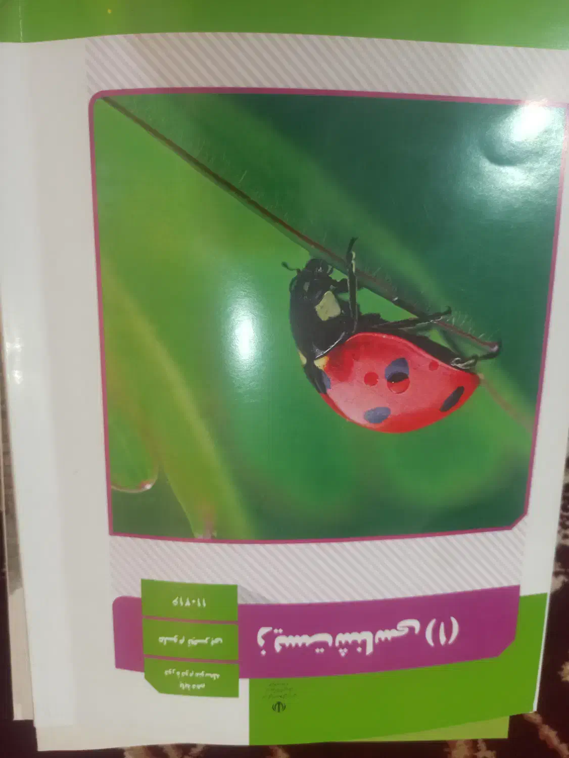 کتاب تجربی|کتاب و مجله آموزشی|ایذه, |دیوار