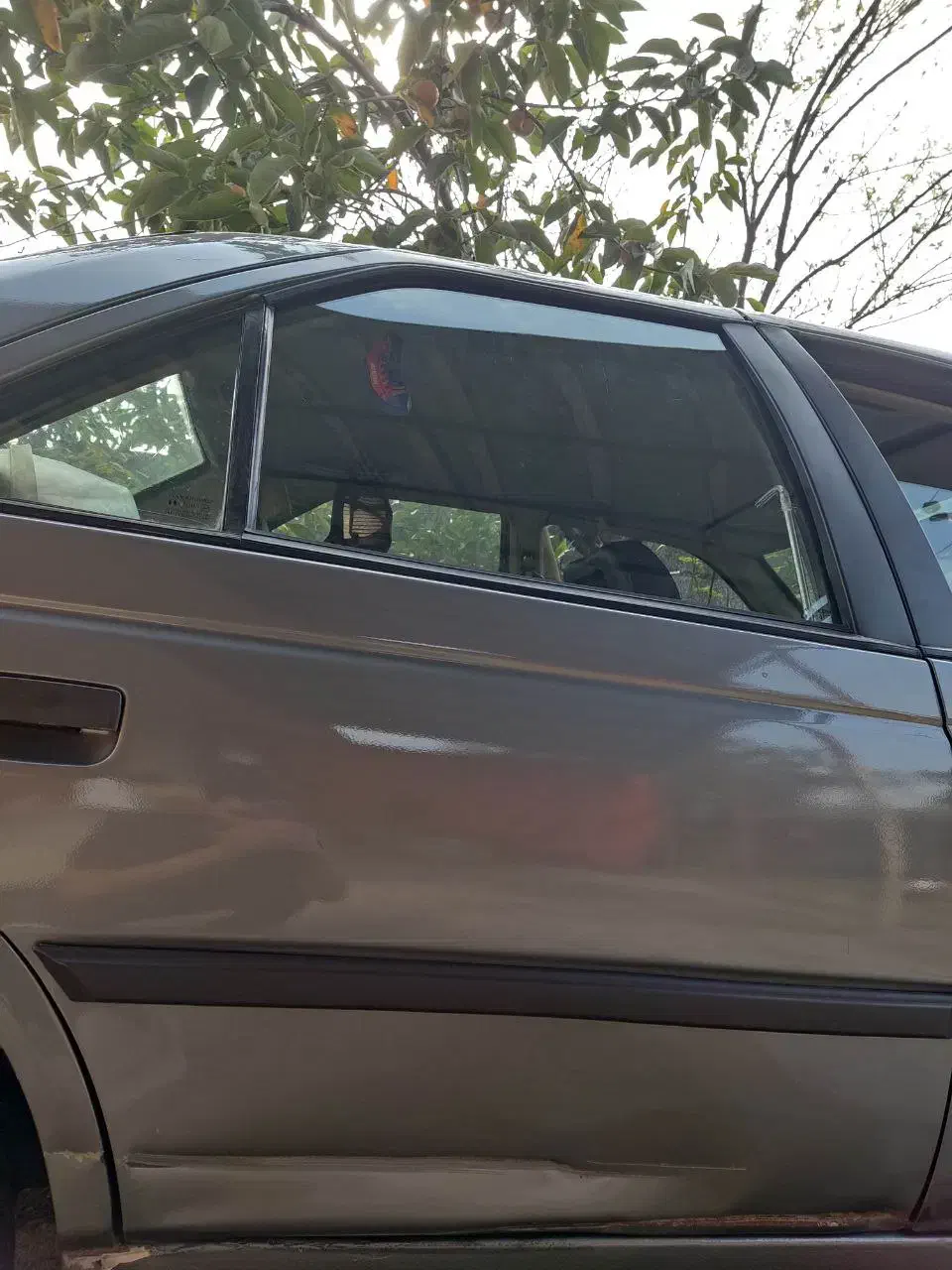 در و گلگیر 405|قطعات یدکی و لوازم جانبی|رشت, پیرکلاچای|دیوار