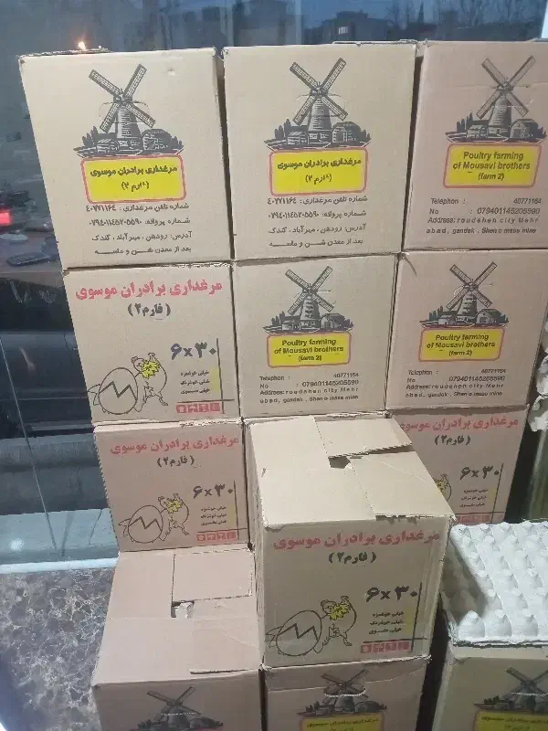 پخش تخم مرغ رضایی|خوردنی و آشامیدنی|تهران, مولوی|دیوار