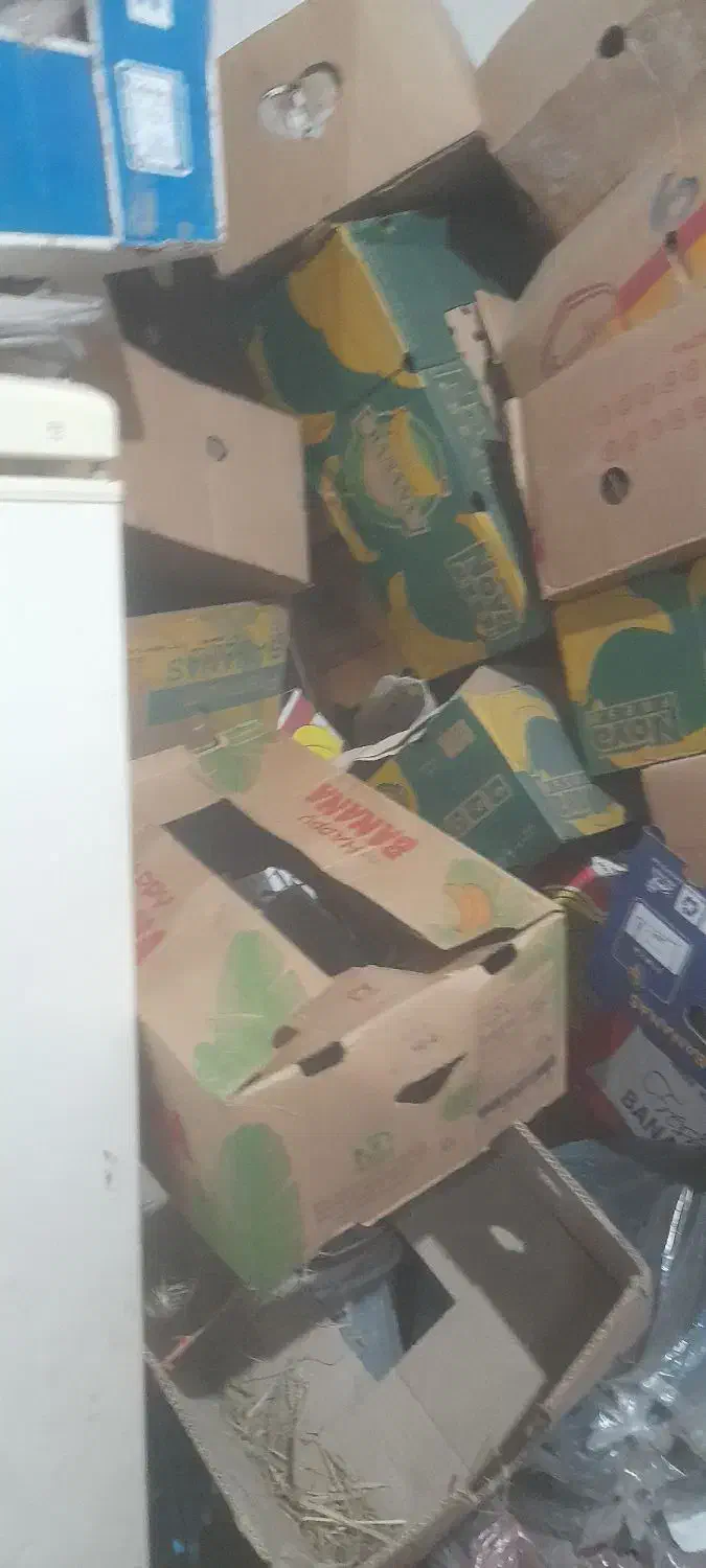 کارتن موزی درجه|حراج|جیرفت, |دیوار